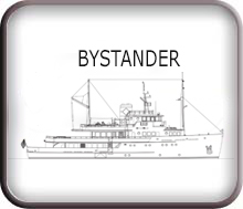 Bystander